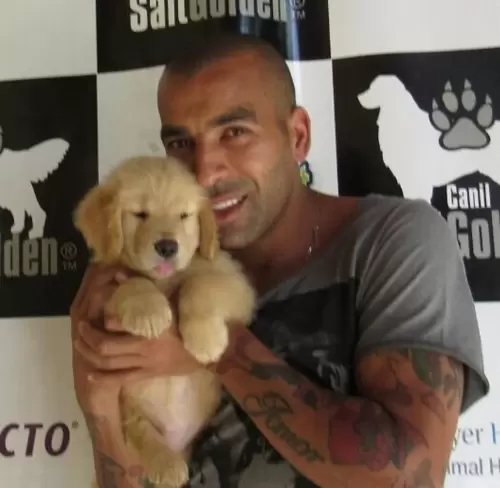 Famosos Felizes com Salt Golden