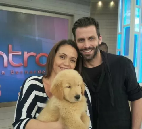 Famosos Felizes com Salt Golden